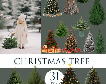 Christmas Tree Photo Overlays: 31 PNG Winter Trees (Digital Download)