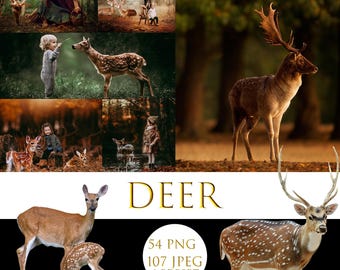 Deer Overlays, Animal Overlay and Photoshop Action Collection, Forest Lightroom presets, Reindeer Overlays, Digital backdrop, Animal Overlay
