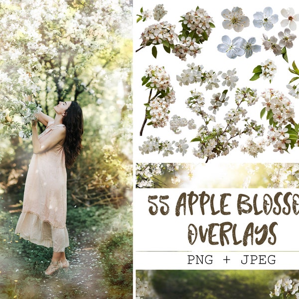 Apple Blossom Overlays, Spring overlays, Blooming spring branch overlays, Apple tree blossom, painted photo layer, flower overlays, clipart