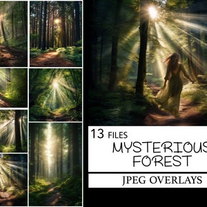 Wald Hintergrund, mysteriöser Wald, Sommer Feld digitaler Hintergrund, verträumter Wald digitaler Hintergrund, Natur, außerhalb, Instant Download