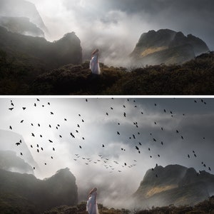 May include: A woman in a white dress stands on a mountaintop with a misty background.  The sky is overcast and there are many birds flying in the sky.