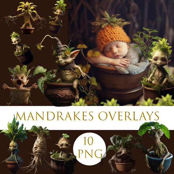MANDRAKE マンドレイク　フライヤー　チラシ　４枚セット Buy LEGO® Mandrake 76433 | Official LEGO® AE