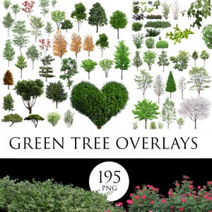 May include: A collection of green tree overlays in various shapes and sizes, including a heart-shaped bush. The image includes the text "GREEN TREE OVERLAYS" and a circle with the number "195" and "PNG".