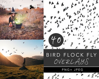 Bird Flock Png, Bird Flock Overlays, Bird Flock Fly, Flock of Birds Overlay Silhouettes, Flying Birds png, Raven crow overlays, bird overlay
