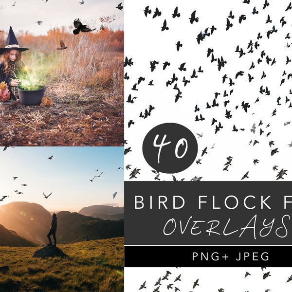 Bird Flock Png, Bird Flock Overlays, Bird Flock Fly, Flock of Birds Overlay Silhouettes, Flying Birds png, Raven crow overlays, bird overlay
