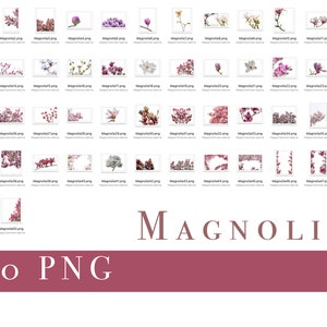 Superpositions de magnolia, fleur de magnolia, superpositions de printemps de magnolia, png de fleur de magnolia, carte de fond de fleur de printemps, superpositions de brunchs de fleurs image 10