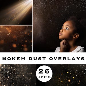 Bokeh dust overlay, glitter dust, floating dust, falling dust, bokeh photoshop overlay, dust bokeh, dust overlay, Christmas light overlays