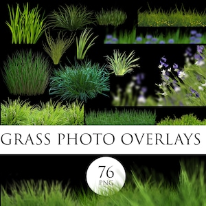 Grass photo overlays, Glade photoshop overlays, Grass png, Foreground Elements, Photoshop Overlays, Digital Backdrop, Green Plant Overlays