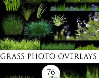 Grass photo overlays, Glade photoshop overlays, Grass png, Foreground Elements, Photoshop Overlays, Digital Backdrop, Green Plant Overlays