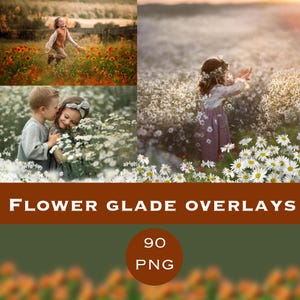Flower glade photoshop overlays, Flowering field photo overlays, Flowers Overlays, Foreground Elements, Photoshop Overlays, Digital Backdrop