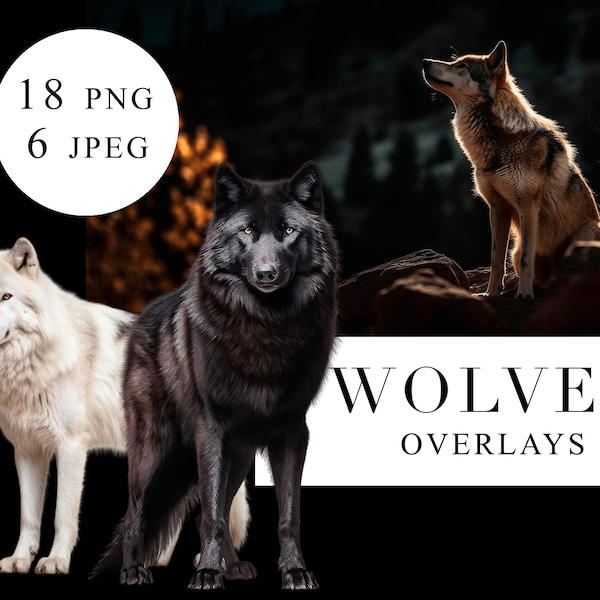 Wolves overlays, Wolf png, wolves digital overlay, wild animal overlay, realistic wolf clip art, husky png, wildlife animal png, wolves png