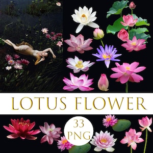 Lotus flower overlays, lotus art, water photoshop summer overlays flower clip art, mermaid overlays, photography overlays , pink lotus Lilia