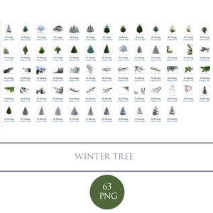 May include: A collection of 63 PNG images featuring various winter tree illustrations. The images showcase different types of evergreen trees, some with snow, and branches. The title "WINTER TREE" is displayed below the images, with a green circle containing "63 PNG".