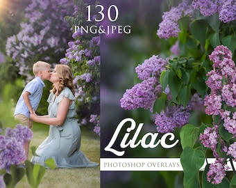 Superposiciones de fotos de flores lilas, disparos a través de flores, pintura floral, editor de fotos, superposiciones de fotos lilas, superposiciones de fotos florales, rama floreciente