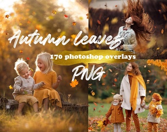 170 Autumn leaves png, autumn leaves photoshop overlay, autumn falling leaves background, fall leave png, autumn leaf png, falling leaf png