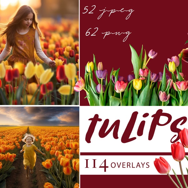 Flower photo overlays, Tulip png, Digital overlay, flowers clipart, flower summer spring overlay, flower field overlays, flowers background