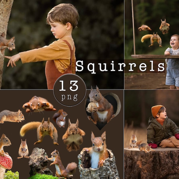 13 Squirrel Overlays, Forest animal png, Squirrel png, Squirrel PNG clipart, Cute animal clipart, Woodland animal png, Digital photo overlay