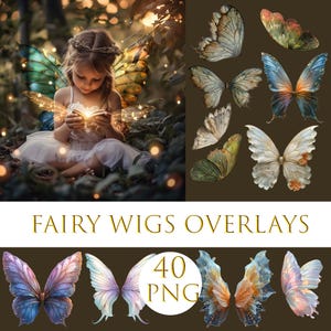 妖精の羽のオーバーレイ、ファンタジーオーバーレイ、魔法のクリップアート、蝶の羽のPNG、写真の強化、蝶のPNG
