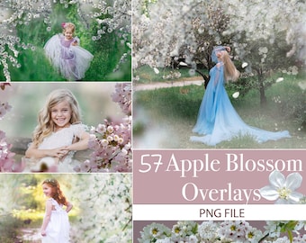 Apple Blossom Overlays, Spring overlays, Spring apple tree blossom, Blooming spring branch overlays, cherry blossom, spring flowering trees