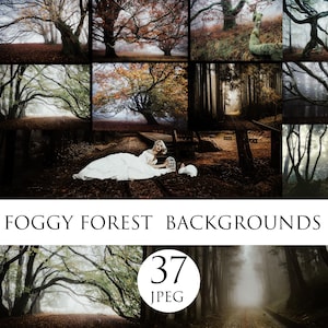 Nebligen Wald Digitalen Hintergrund, Wald Foto, Foto-Overlay, Fantastischen nebligen Hintergrund, Nebel Wald, Digitale Kulissen, Halloween-Overlays