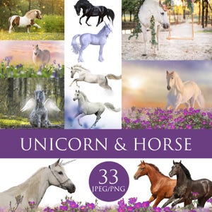 33 Horse Overlay, Unicorns overlays, Equine Dreams, Unicorn & Horse Digital Background Collection for PS, Unicorn Clipart, Unicorn valentine