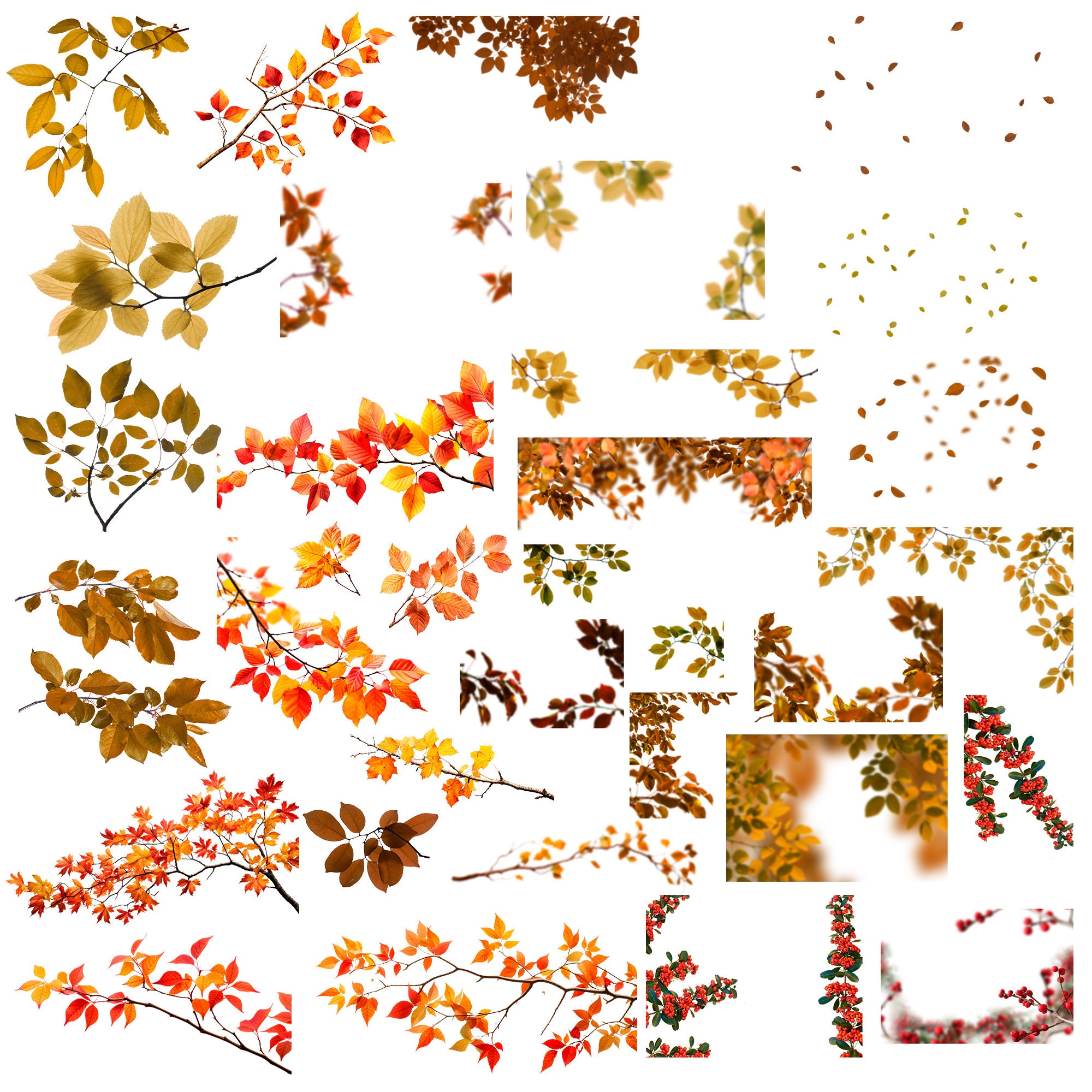 Autumn Branches Overlays, Fall Leaves for Fine Art Photography, Branch ...