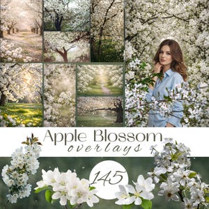 Puede incluir: Un collage de imágenes con flores de manzano en plena floración. Las imágenes muestran una variedad de escenas, incluyendo un camino bordeado de árboles, primeros planos de ramas y una mujer con una camisa azul. El texto "Apple Blossom Overlays" y el número "145" también están presentes.