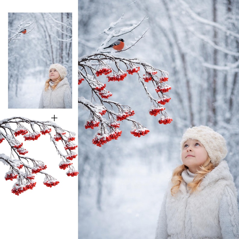 May include: A winter scene featuring a young person in a white coat and hat looking up at a branch of red berries covered in snow. A small bird perches on the branch. The background is a snowy forest.