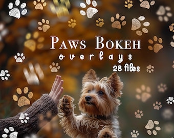 Dog Paws Bokeh foto-overlays, huisdierfoto-overlays, dierenfoto-overlays voor Photoshop, lichtoverlays, bokeh-overlays, Golden Pet BOKEH