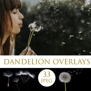 Dandelion overlays, Realistic Dandelion Photoshop Overlays, Spring photoshop overlays, dandelion flowers, Digital Background, Dandelion Seed