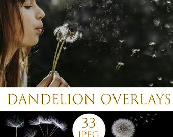 Dandelion overlays, Realistic Dandelion Photoshop Overlays, Spring photoshop overlays, dandelion flowers, Digital Background, Dandelion Seed