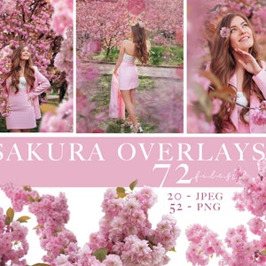 Sakura overlays, Cherry blossoms png, Blooming spring branch overlays, Pink Blossom Tree photo overlays, Cherry Blossom Photoshop Overlays image 1