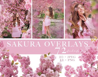 Sakura-Overlays, Kirschblüten png, blühender Frühlingszweig-Overlays, Pink Blossom Tree Foto-Overlays, Cherry Blossom Photoshop Overlays