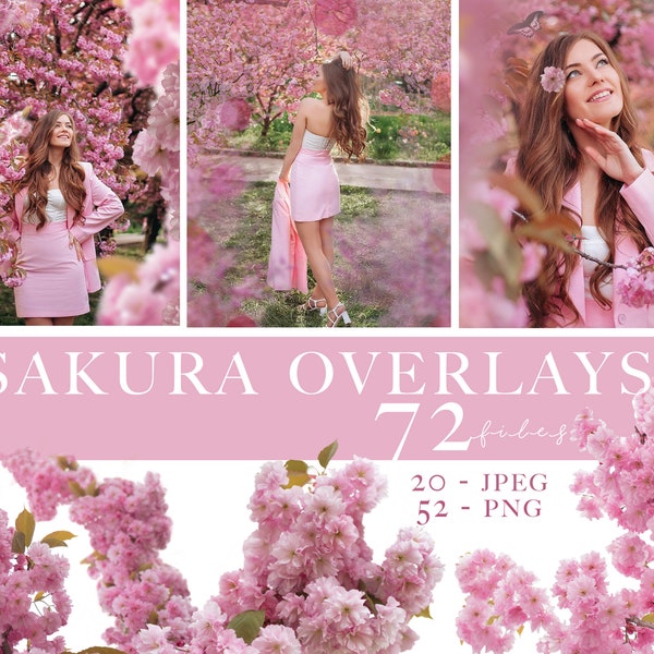 Sakura-Overlays, Kirschblüten png, blühender Frühlingszweig-Overlays, Pink Blossom Tree Foto-Overlays, Cherry Blossom Photoshop Overlays