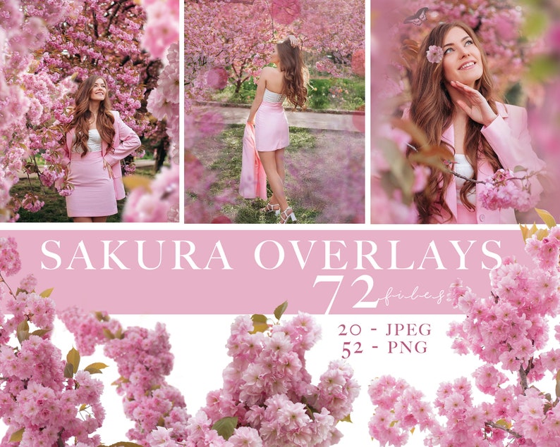 Sakura overlays, Cherry blossoms png, Blooming spring branch overlays, Pink Blossom Tree photo overlays, Cherry Blossom Photoshop Overlays image 1