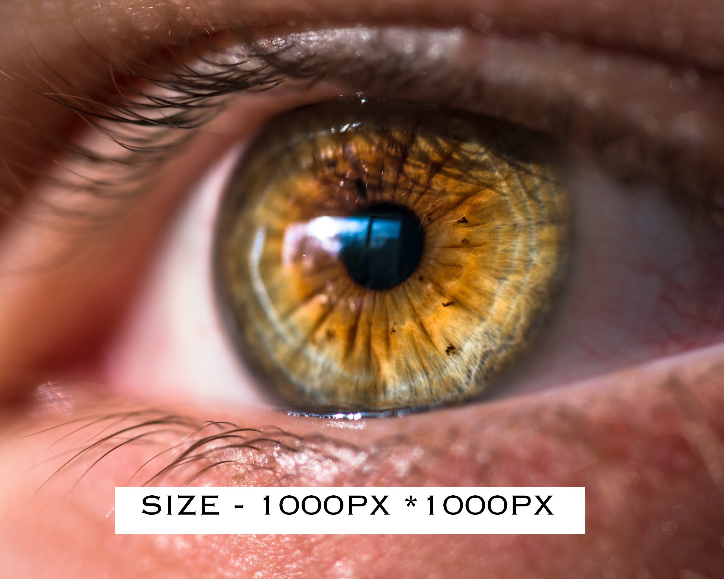 Eyes Clipart Eyes Overlays Eyes Overlays Eye Png Etsy Ireland