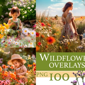 Wildflower overlays, flower overlays, Flowering Fields for Photo Editing, Digital Floral png, Blooming Glade Effect, summer overlay flowers image 1