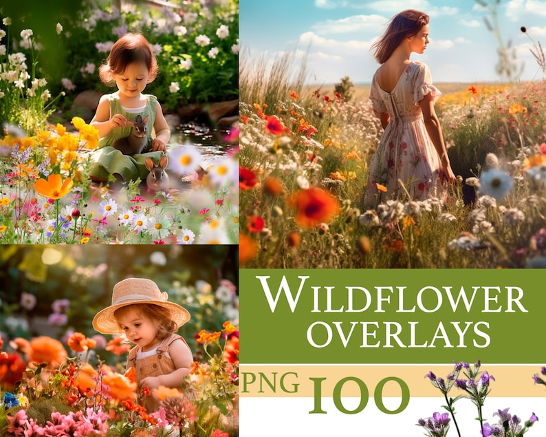 Wildflower overlays, flower overlays, Flowering Fields for Photo Editing, Digital Floral png, Blooming Glade Effect, summer overlay flowers image 1