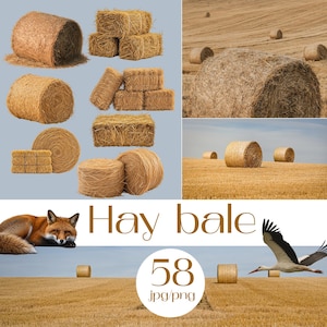 May include: A collection of golden-brown hay bales in cylindrical and rectangular shapes, displayed against a neutral background and within a field setting. The image includes a red fox, a flying stork, and the text Hay bale 58 jpg/png.