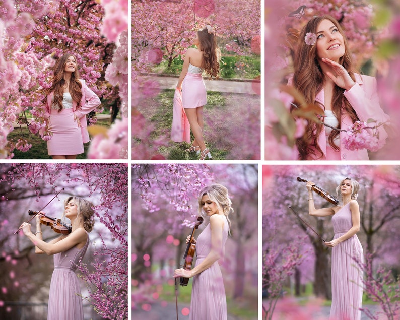 Superpositions de Sakura, png de fleurs de cerisier, superpositions de branche de printemps en fleurs, superpositions de photo d'arbre de fleur rose, superpositions de Photoshop de fleur de cerisier image 6