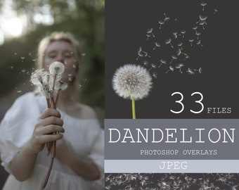 Dandelion overlays, Realistic Dandelion Photoshop Overlays, Spring photoshop overlays, dandelion flowers, Digital Background, Dandelion Seed