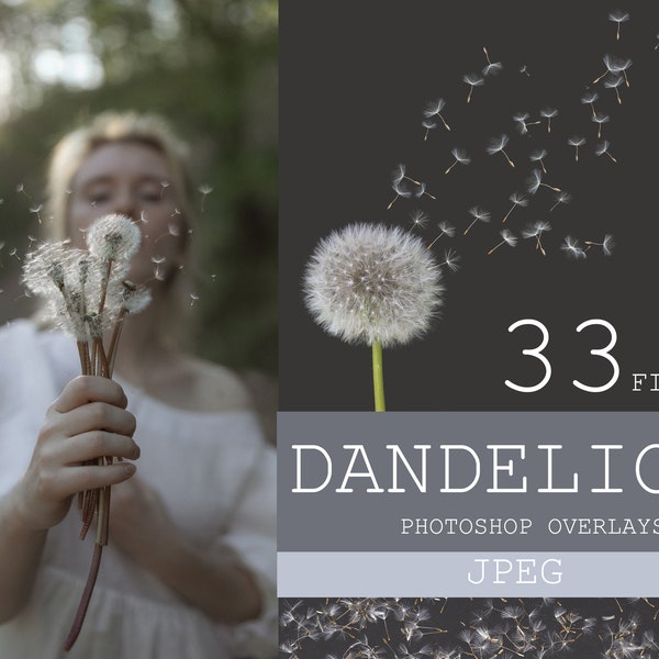 Dandelion overlays, Realistic Dandelion Photoshop Overlays, Spring photoshop overlays, dandelion flowers, Digital Background, Dandelion Seed