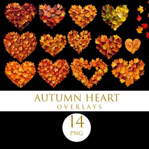 Vintage fall heart png,  Autumn heart clipart, Autumn hearts png, Fall png, Autumn clipart, fall collection,  autumn leaves overlays, love
