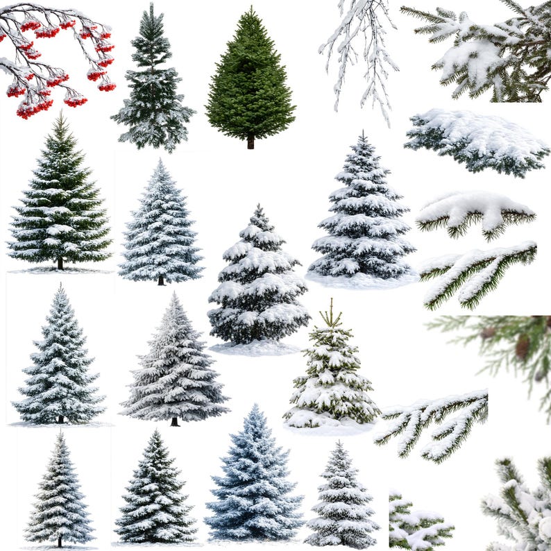 May include: A collection of various evergreen trees, some covered in snow, and branches with red berries. The trees vary in size and shape, with some appearing freshly cut and others dusted with snow, perfect for holiday decor.