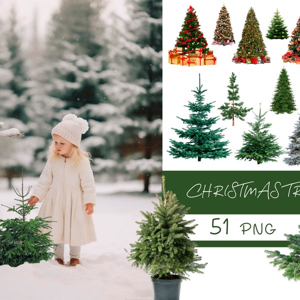 Christmas tree overlays, Christmas trees png, winter trees png, Christmas trees clipart, Christmas tree bokeh, Christmas  Coniferous Trees