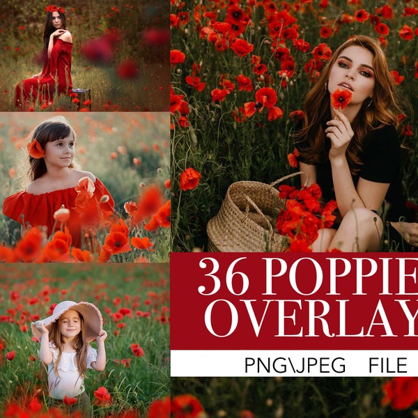 36 Red poppies overlays, poppy photo overlay, summer flower field, Photoshop Digital Backgrounds,Flowers glade photoshop overlays, Poppy png