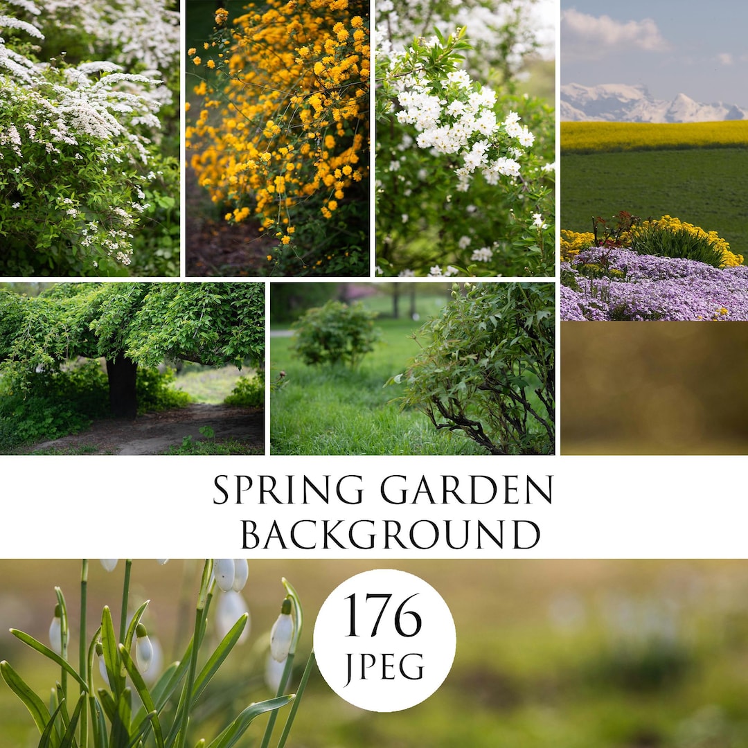 Spring Garden Photo Backgrounds: Flower Lamb Digital Backdrop, Spring ...
