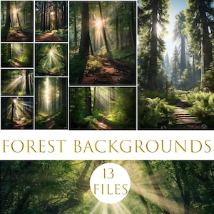 Forest background, Mysterious forest, Summer Field Digital Backdrop, Dreamy Forest Digital Background, Nature, Outside, Instant Download
