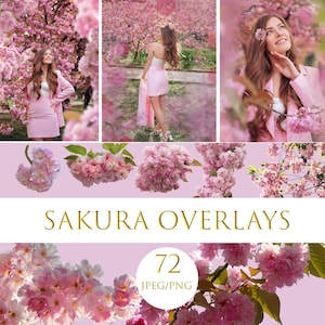 以下が含まれることがあります： ピンクの桜オーバーレイのデジタル製品画像。画像には、ピンクの衣装を着た人物の写真が3枚と、桜の枝のクローズアップがいくつか含まれています。「SAKURA OVERLAYS」と「72 JPEG/PNG」というテキストが表示されています。