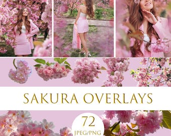 Cherry Blossom PNG Overlays – Sakura Flower Photo Overlays, Spring Floral Clipart for Photoshop